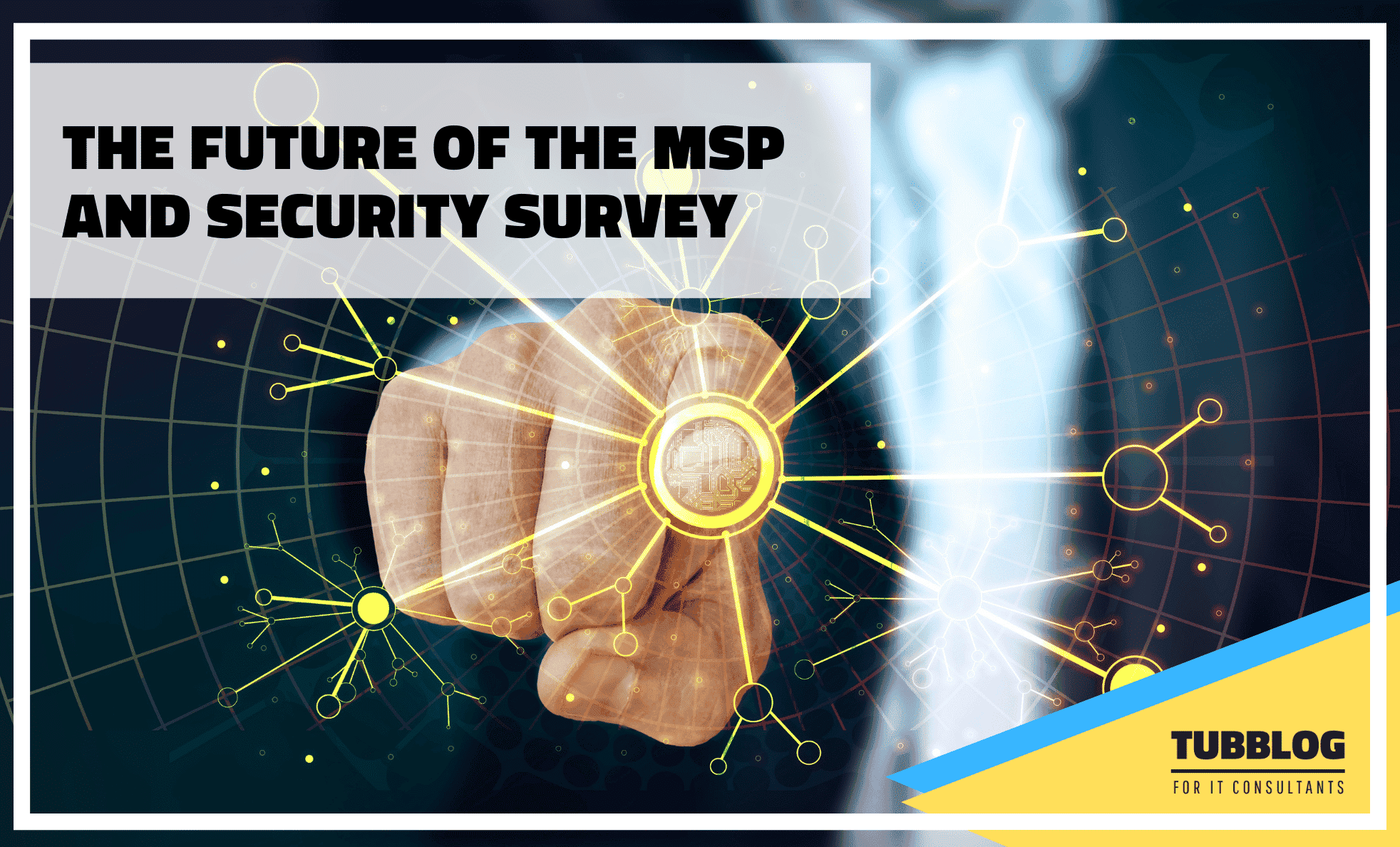 The Future of the MSP and Security Survey